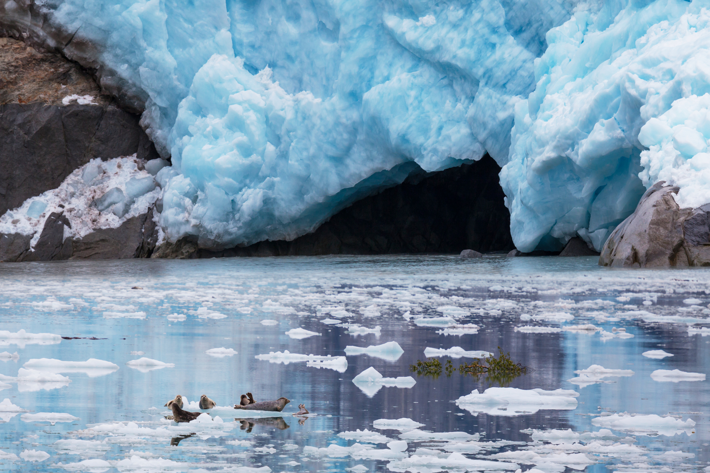 tsaa fjord, icy bay, alaska (2).webp